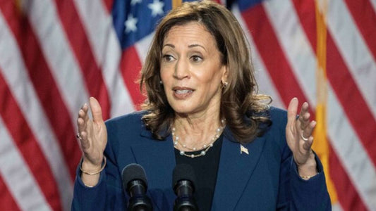 Kamala Harris’ 2024 Campaign Overview