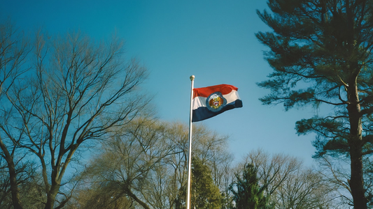 The Missouri state flag