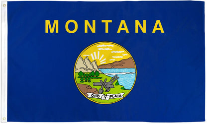 State Flag